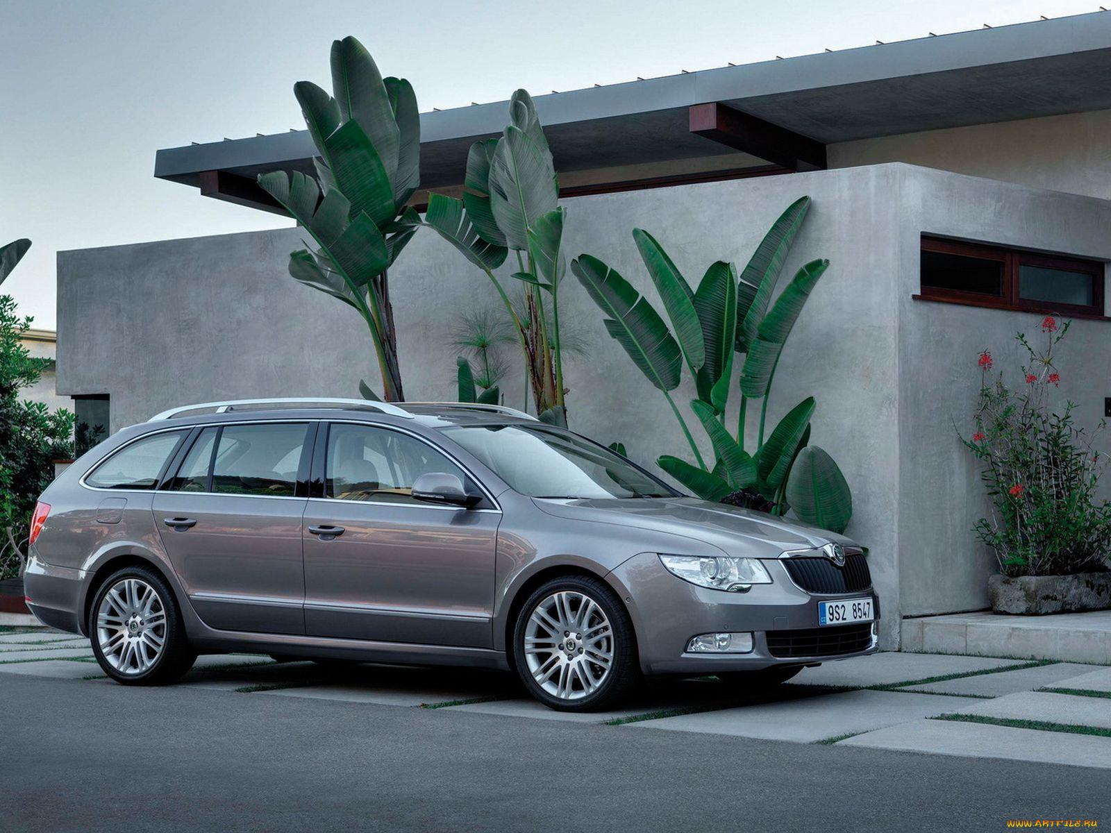 , skoda